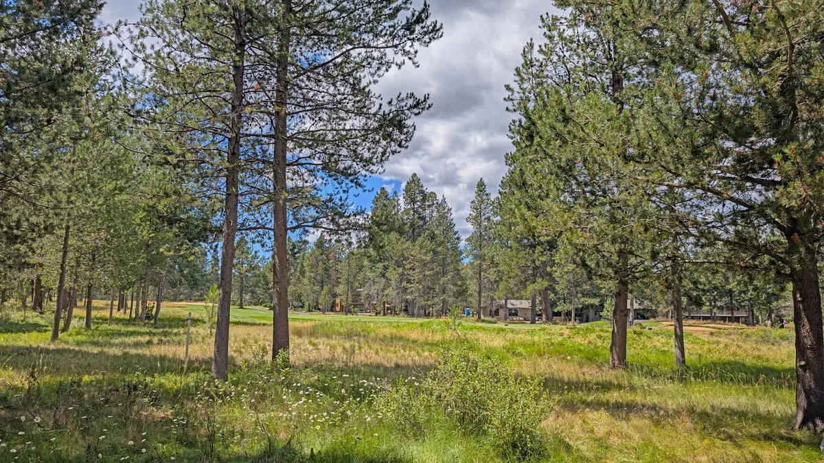 A scenic view of tall pine trees, an open grassy area, and distant buildings—suggesting the outdoor spaces and trails available for exploration and adventure. The peaceful setting hints at the abundance of recreational activities accessible nearby.